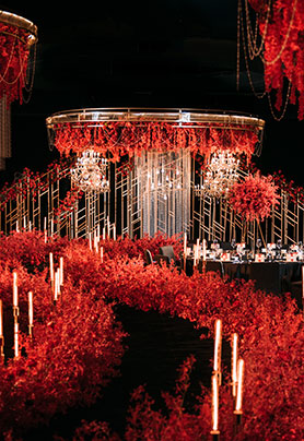 不论朝暮，与你同往