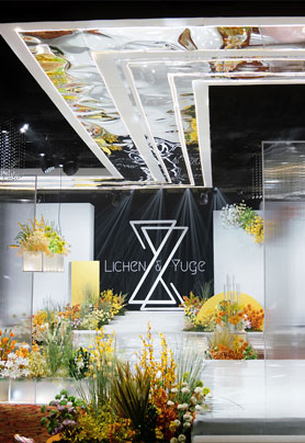 故事里的小黄花