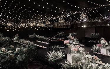 The brightest star in the night sky