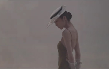 The glow of the forest