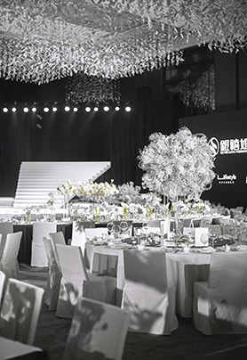 银禧十年 · 无界生长