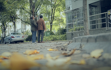 棕榈树下 | 钻石婚纪念片