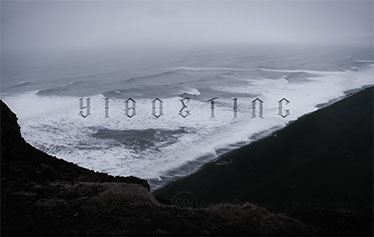 2019根号肆婚礼混剪