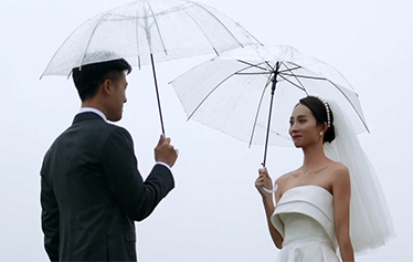 我想和你一起去流浪