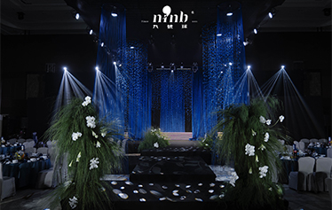 EDC&可爱p的婚礼