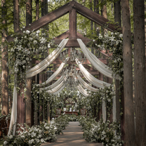 真实婚礼 | The Twilight Forest ,走入你35℃的夏天