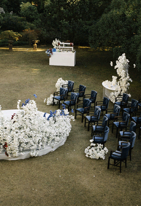 白色蝴蝶兰城堡