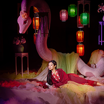 灵蛇祥瑞,共启新篇 | 青鸢姊妹篇《牡丹》开年大秀