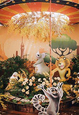 马达加斯加之旅travel in Madagascar