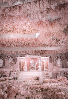 粉色的宫殿记忆