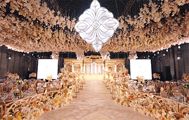 两束光交相辉映