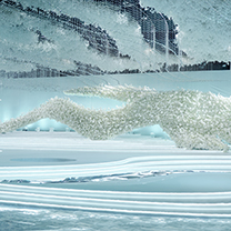 婚礼的另一种形态