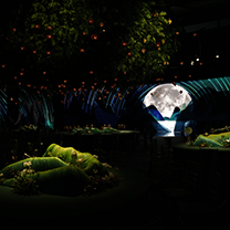 向世界展示婉约沉醉的中国山水梦境