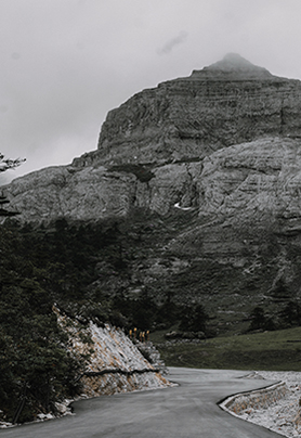 食尽烟火，仙客皮囊