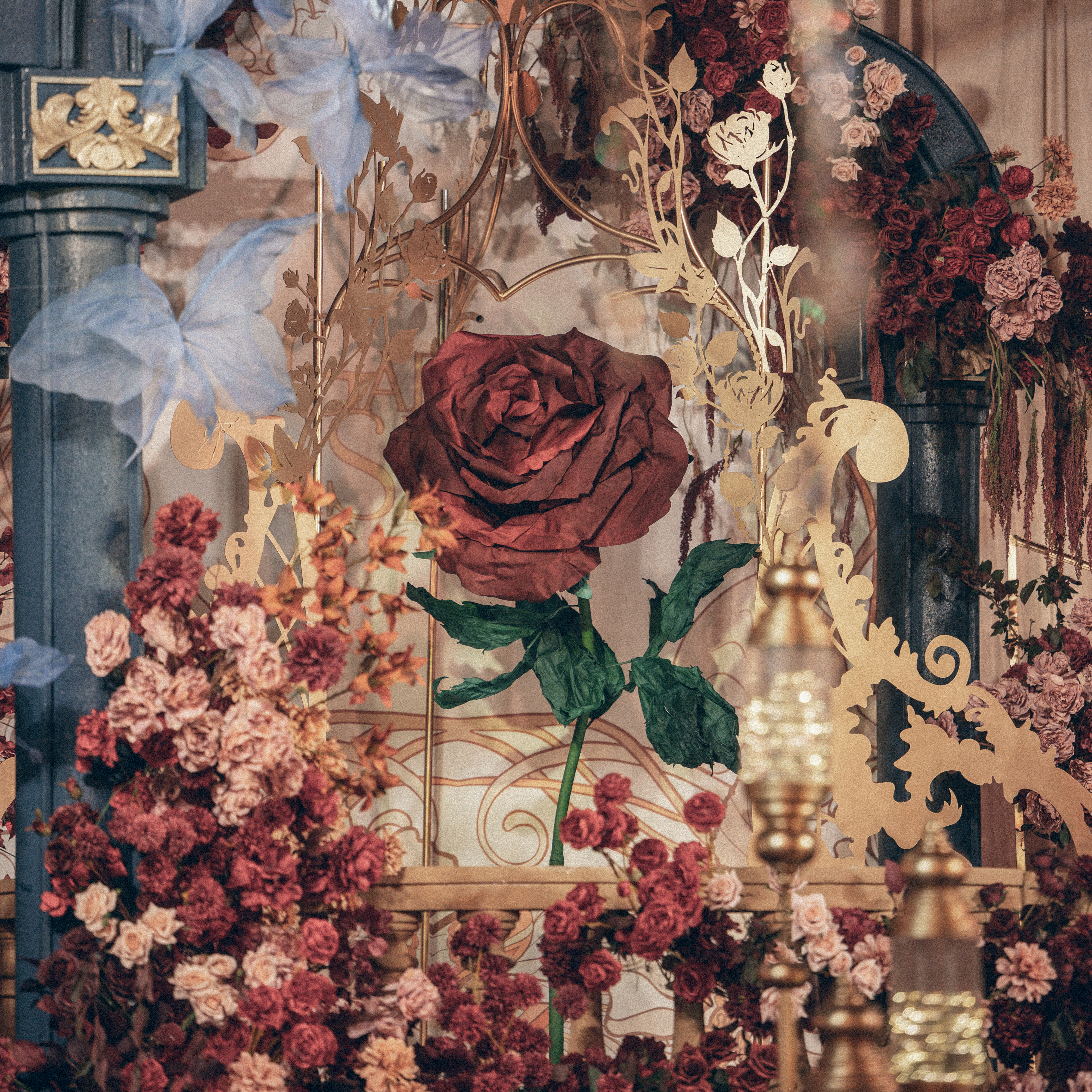 若玫瑰不叫玫瑰，我称她为生生不息的爱恋