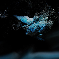 风尚活动 | 「 鳐 」 见则天下大穰