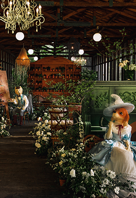 欢迎来到我们的家