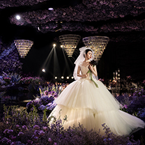 “又灿烂，又冷静，既梦幻，又庄重”