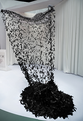 黑色生命力 / 你可曾见过我的黑色羽翼