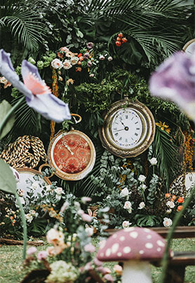 疯帽子的兔子洞