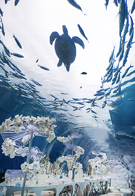 三亚天房洲际酒店