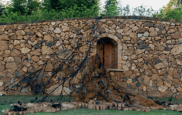 爱在序列里自由