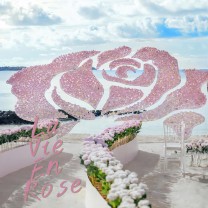 La Vie En Rose |  绽放在印度洋海岛的玫瑰,一场完美的婚礼