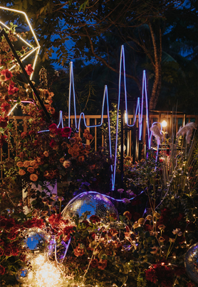 明天将要嫁给你