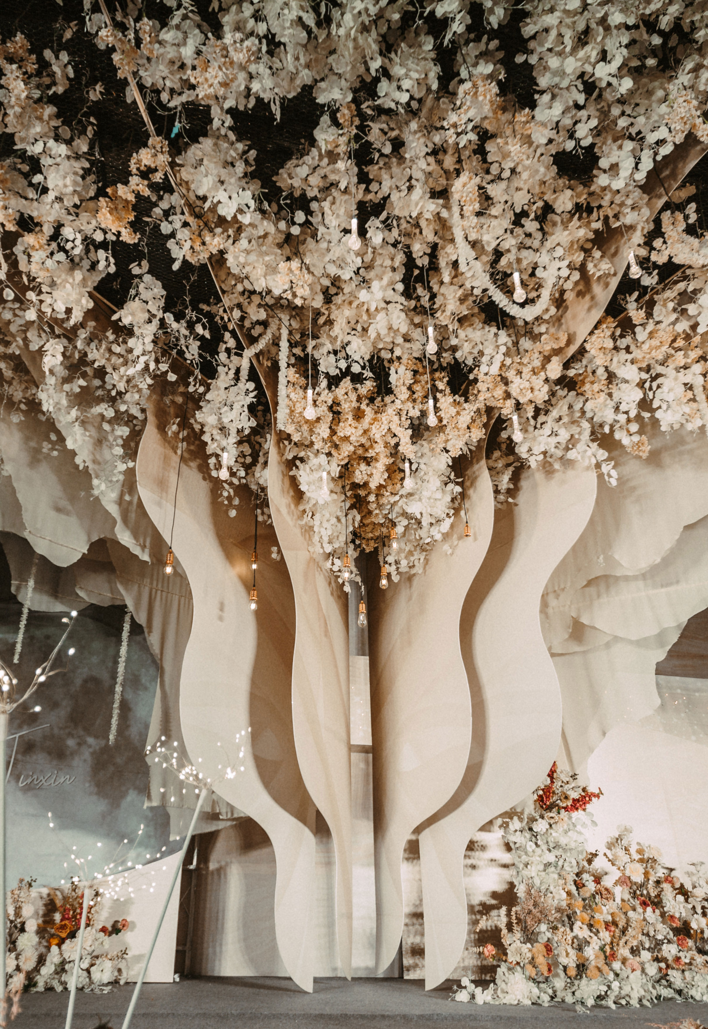 怦然心动，梧桐树