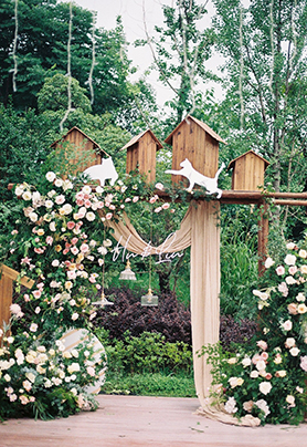 有你、有猫、有爱、就是家