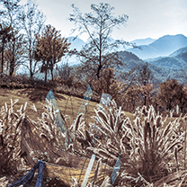 2019婚礼风尚年度颁奖典礼·云南目的地仪式区设计展 | 在场景设计中找寻生活里的馥郁芬芳