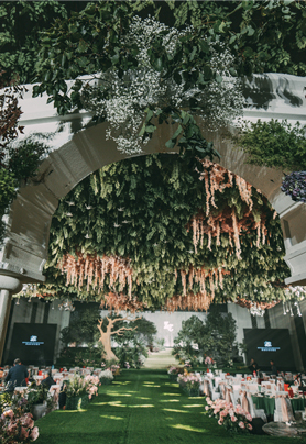 神秘花园的奇遇记