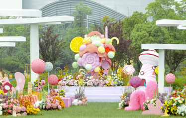 毛毛的夏日后花园