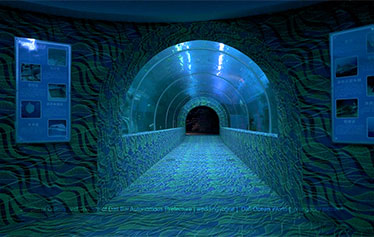 目的地酒店探店 | 大理海洋馆