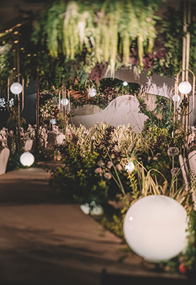 comely·一花一蔓