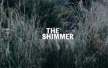 The shimmer