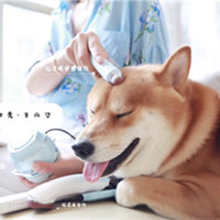 生活需要仪式感