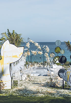 一屋，两猫，你