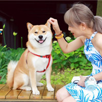 以爱的名义 --让艾益生在生活中随行