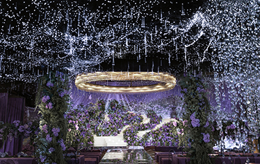 穿越星河去爱你