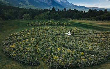 Fell in Love · 八赛⻁