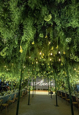 阿米莉亚的万花奇境