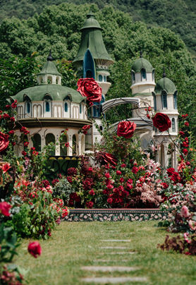 我和我的兔子先生