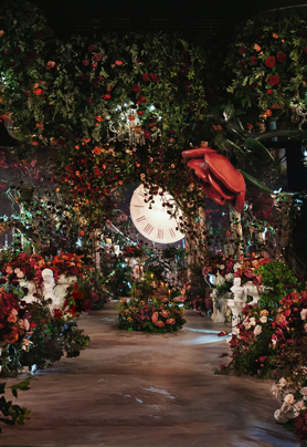 Beauty and The Beast