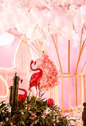 我们的世界真甜芽