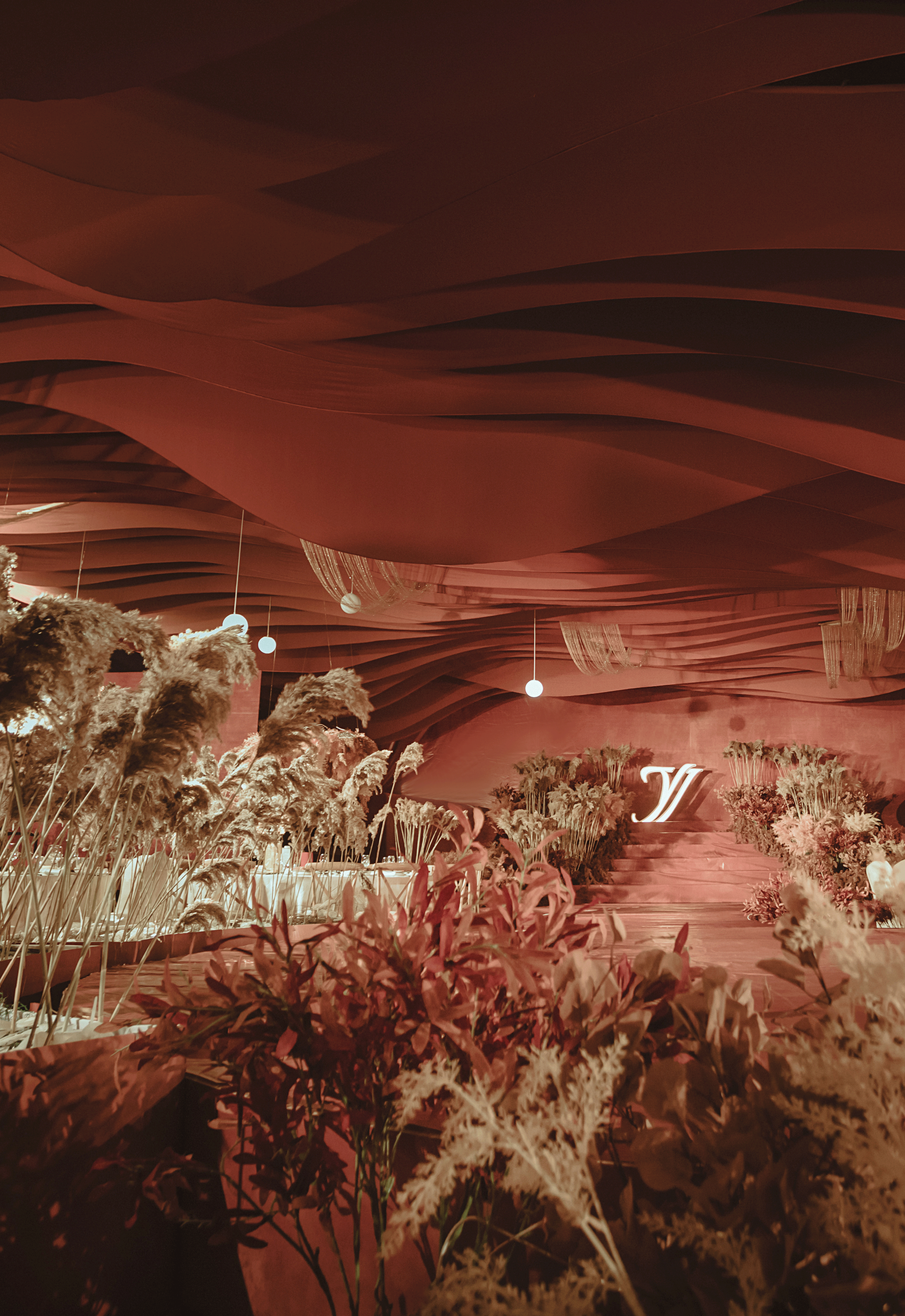 Cortaderia Selloana蒹葭