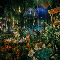 宝宝宴丨造一座雨林，许你一个茁壮成长的未来