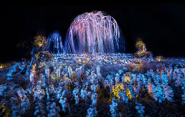 2016亚洲婚礼风尚盛典 | 逆世界