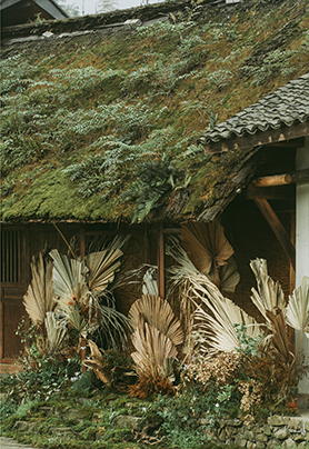 什邡青云外民宿 <尘世里 · 青云外>