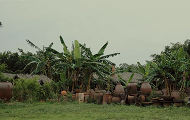 城市站探店 | 海口陶器厂